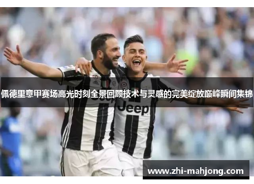 佩德里意甲赛场高光时刻全景回顾技术与灵感的完美绽放巅峰瞬间集锦