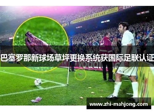 巴塞罗那新球场草坪更换系统获国际足联认证